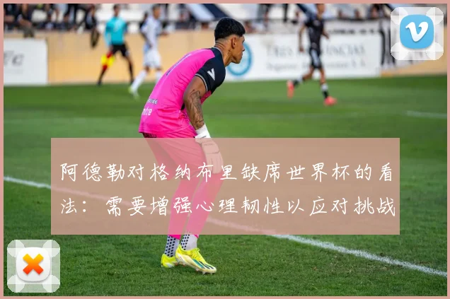 阿德勒对格纳布里缺席世界杯的看法：需要增强心理韧性以应对挑战