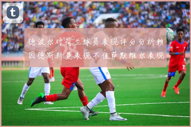 德波尔对荷兰球员表现评分分析赖因德斯科曼表现不佳萨默维尔表现出色