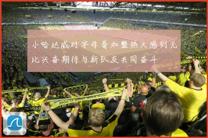 小哈达威对字母哥加盟热火感到无比兴奋期待与新队友共同奋斗
